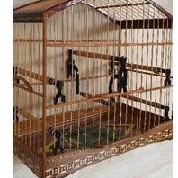 Kit Poleiro Luxo, Com Cortiça Para Trinca-ferro