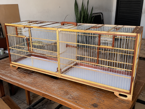 Gaiola Premium de Reprodução 2 Metros – Divisória Removível para Casal de Aves