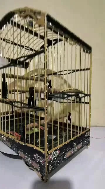 Gaiola De Trinca Ferro/Pixarro 4.5 Fundo Removível!