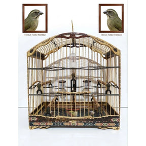 Gaiola De Trinca Ferro/Pixarro 4.5 Fundo Removível!