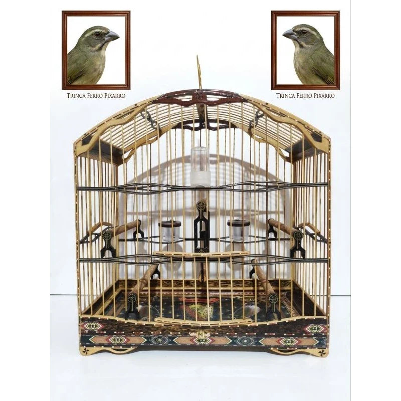 Gaiola De Trinca Ferro/Pixarro 4.5 Fundo Removível!